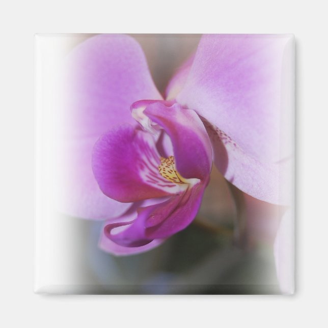 Orchid Magnet (Front)
