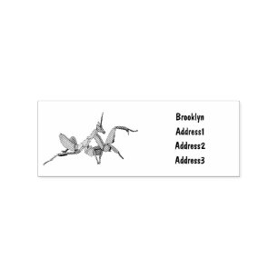 Orchid mantis cartoon illustration rubber stamp