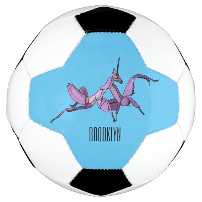 Orchid mantis cartoon illustration soccer ball (Front)