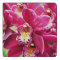 Orchid Marble Trivet