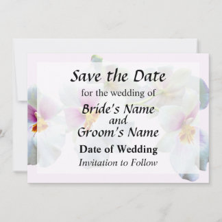 Orchid Miltoniopsis Florentine Save the Date