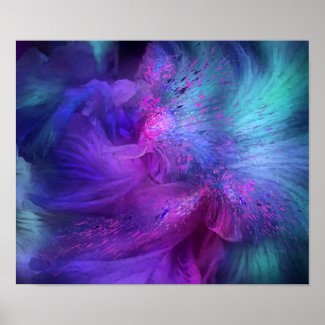 Orchid Moods 3 Fine Art Poster/Print Poster