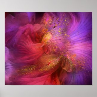 Orchid Moods Fine Art Poster/Print Poster