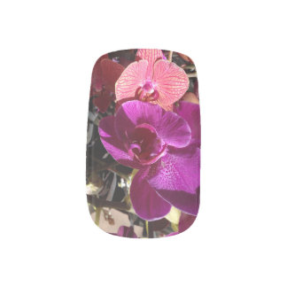 Orchid Nail Art Decals Nail Strips