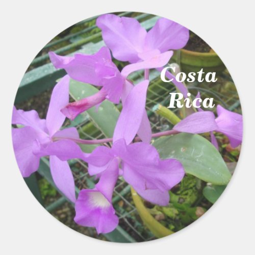 Orchid __ National Flower of Costa Rica Classic Round Sticker