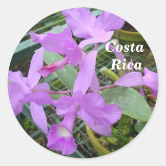Orchid -- National Flower of Costa Rica Classic Round Sticker