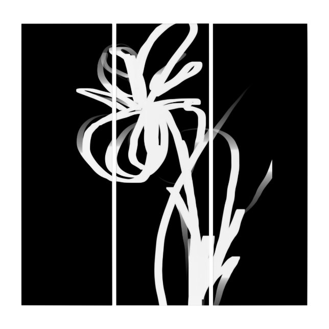 Orchid Noir: Abstract Black & White Triptych (Front)