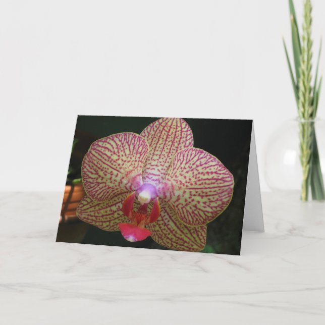 Orchid Notecard (Front)