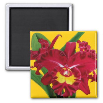 Orchid Oil On Canvas Magnets by MoonArtandDesigns at Zazzle