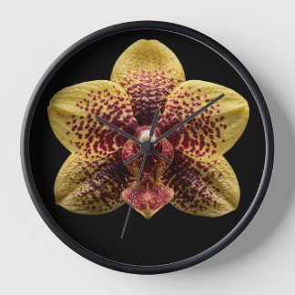 Orchid on Black Background Clock
