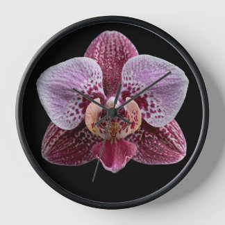 Orchid on Black Background Clock