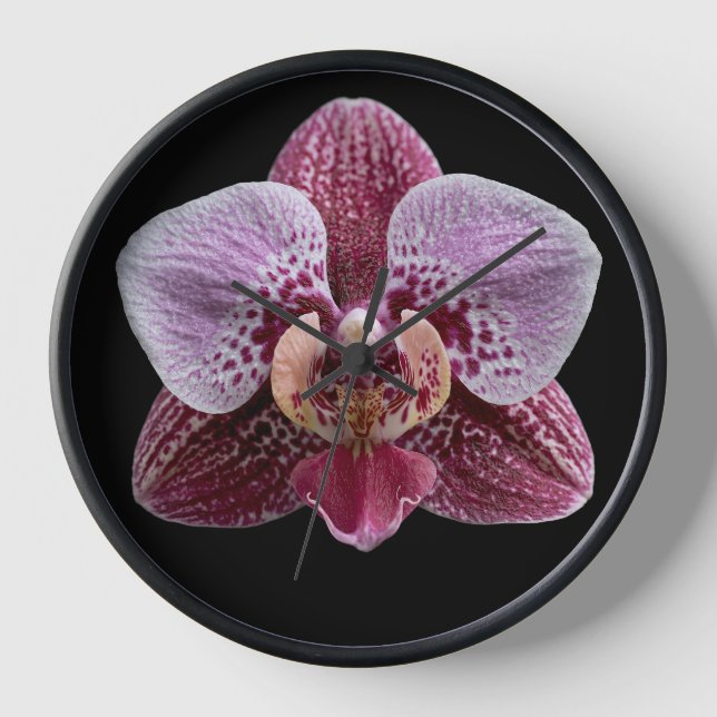 Orchid on Black Background Clock (Front)