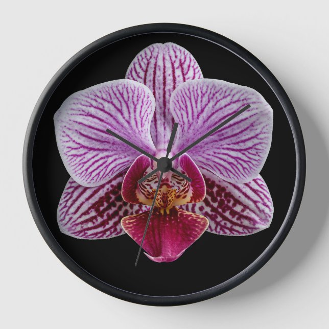 Orchid on Black Background Clock (Front)
