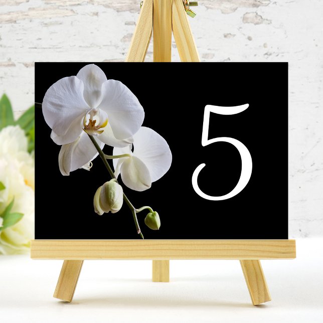 Orchid on Black Table Numbers (Creator Uploaded)