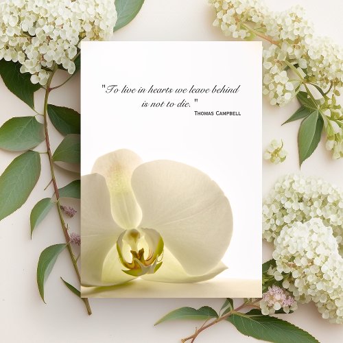 Orchid on White Thank You for Your Sympathy Card