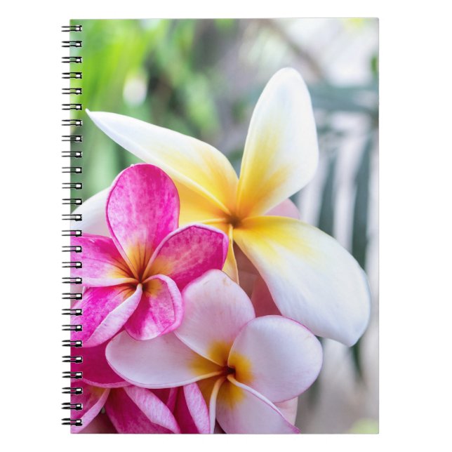 orchid, opal Hawaiian flower   kitchen recipe book (Front)