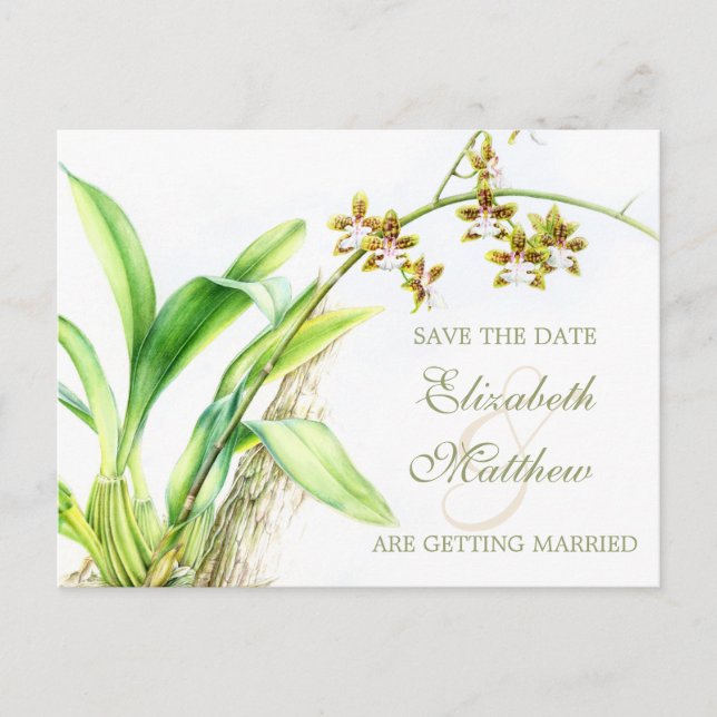 Orchid painted flower save the date card (Front)