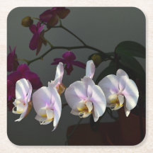 Orchid Paper Coaster