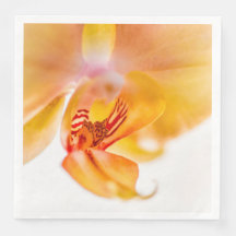 Orchid