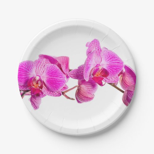 Orchid Paper Plates