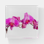 Orchid Paperweight