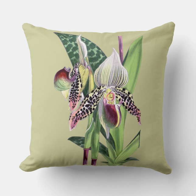 ORCHID (Paphiopedilum Argus) Throw Pillow (Front)