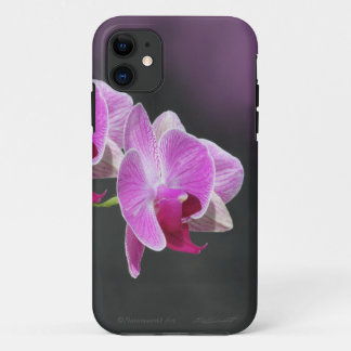 Orchid Phalae iPhone5 Case