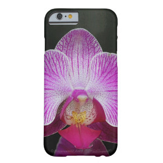 Orchid Phalae iPhone 6 Barely There Case
