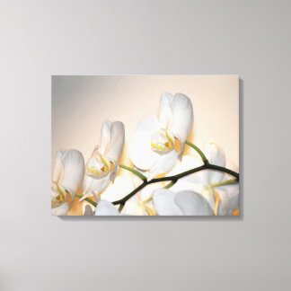 Orchid Phalae Sogo Art Wrapped Canvas -24x18