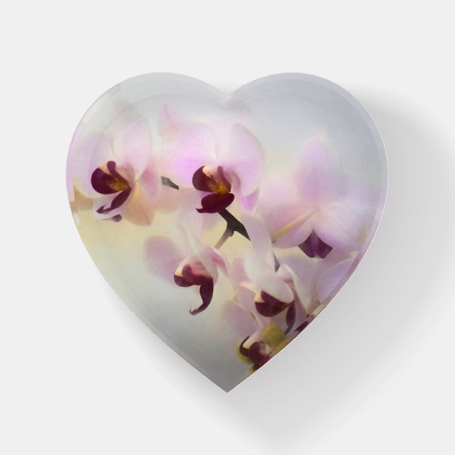 Orchid Photo Painting Paperweight (Front)