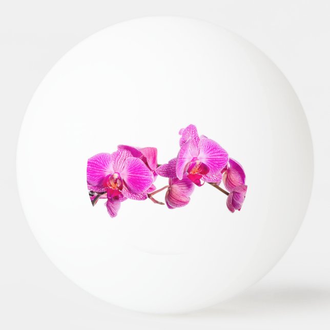 Orchid Ping Pong Ball (Back)