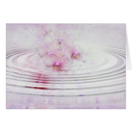 Orchid Pink (Front Horizontal)