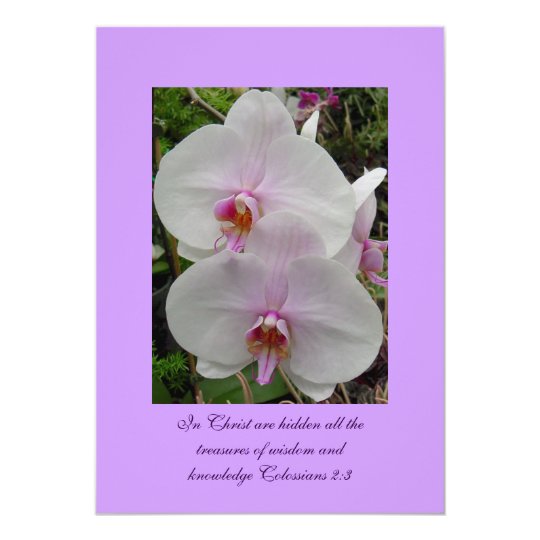 Orchid - Pink Blossom (Colossians 2:3) Card