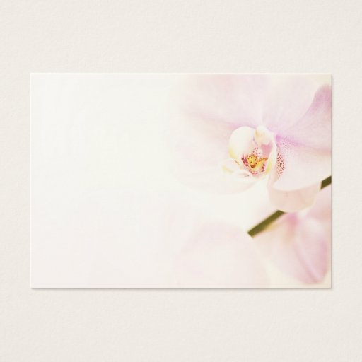 Customizable Orchid  - Pink High Key Flower - Floral Template Business Card Templates