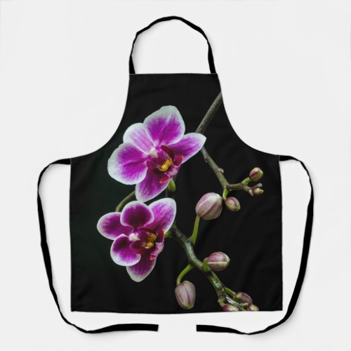 Orchid pink white color on black pale gentle  apron