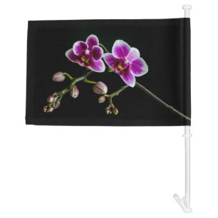 Orchid pink white color on black pale gentle car flag