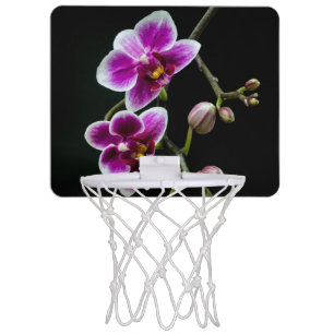 Orchid pink white color on black pale gentle mini basketball hoop