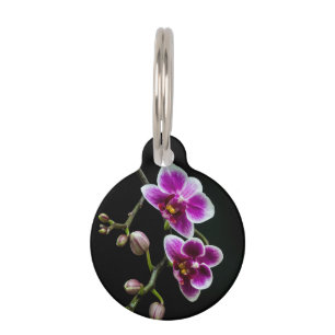 Orchid pink white color on black pale gentle  pet ID tag