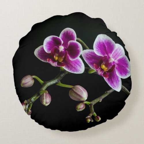 Orchid pink white color on black pale gentle  round pillow