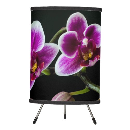 Orchid pink white color on black pale gentle  tripod lamp