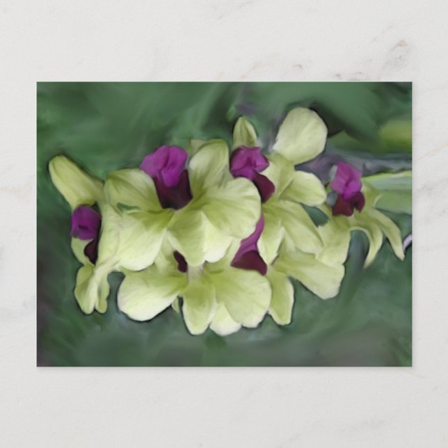 Orchid Postcard (Front)