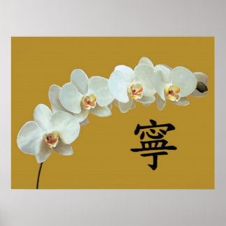 orchid poster