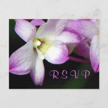Orchid Rsvp Card by Koobear at Zazzle