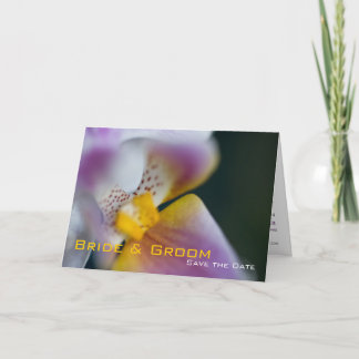 Orchid • Save the Date Card