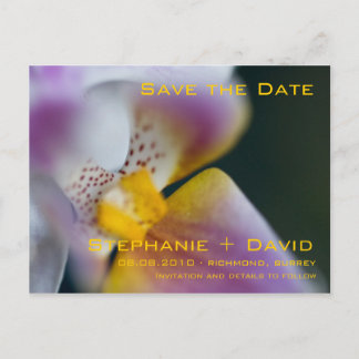 Orchid • Save the Date Postcard