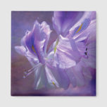 Orchid Sky Art Magnet