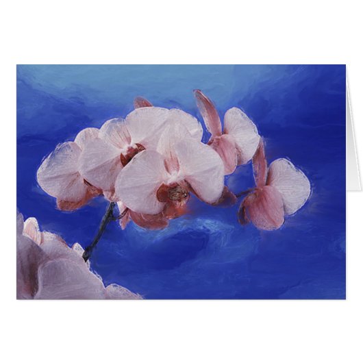 Orchid Spring Cards (Front Horizontal)