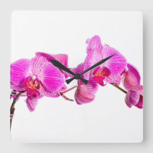 Orchid Square Wall Clock