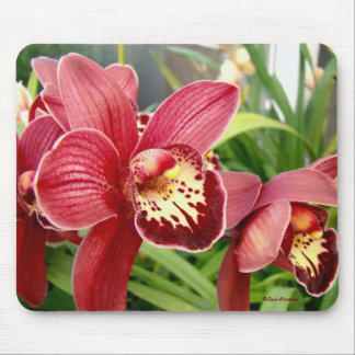 Orchid Standouts Mouse Pad