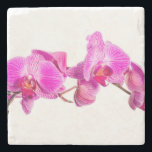 Orchid Stone Coaster<br><div class="desc">Beautiful Orchid on white background

Image © Angelika Stern</div>